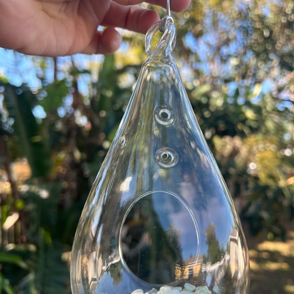 7” Glass Hanging Air Plant Terrarium - Teardrop Shape - Picture 6 of 8